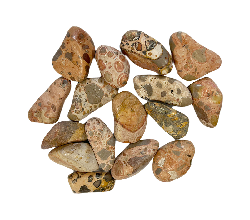 Kamienie spadające Leopard Jasper Rhyolite AB 250g