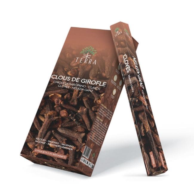 kadzidło i Kadzidło Terra Clove Hexa bez węgla drzewnego 30gr