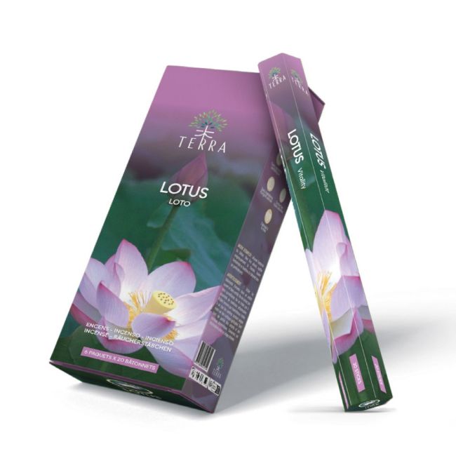 kadzidło i Kadzidło Terra Lotus hexa bez węgla drzewnego 30gr