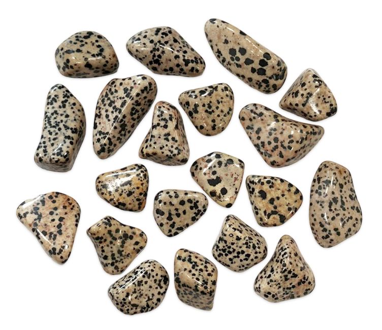 Dalmatyńczyk Jasper AB kamienie sypane 250g