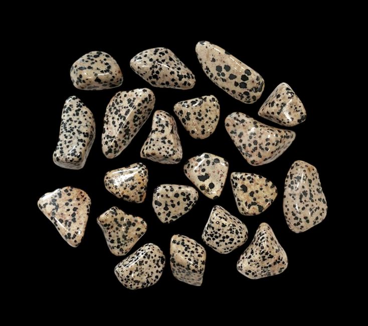 Dalmatyńczyk Jasper AB kamienie sypane 250g