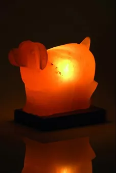 Lampa solna dla psów 2-3 kg