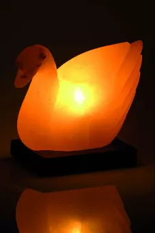 Lampa solna z kaczki 2-3 kg