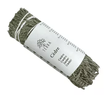 Wiązka tui naturalnej cedru białego 25-30g 10cm