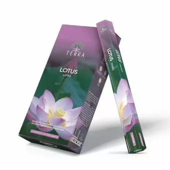 Kadzidło Terra Lotus hexa bez węgla drzewnego 30gr