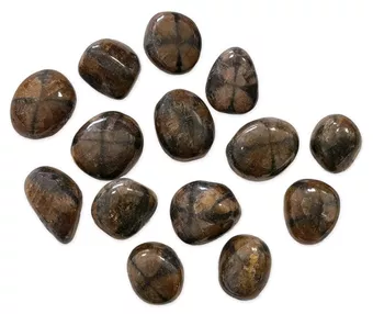 Chiastolit A Kamienie Bębnowane 2-3cm 250g
