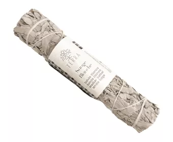 Pakiet szałwii białej kalifornijskiej 70g 18cm