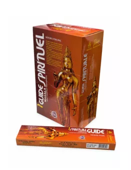 Kadzidło Padmini Masala Spiritual Guide 15g