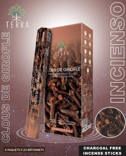 kadzidło i Kadzidło Terra Clove Hexa bez węgla drzewnego 30gr|pl