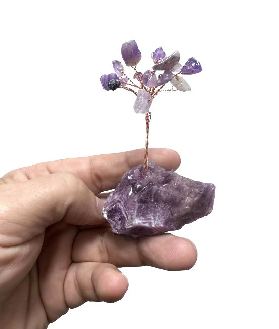 Arbre de Vie Amethyste sur Druse 8cm 